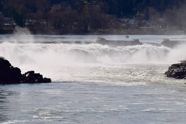 Willamette Falls at Oregon City